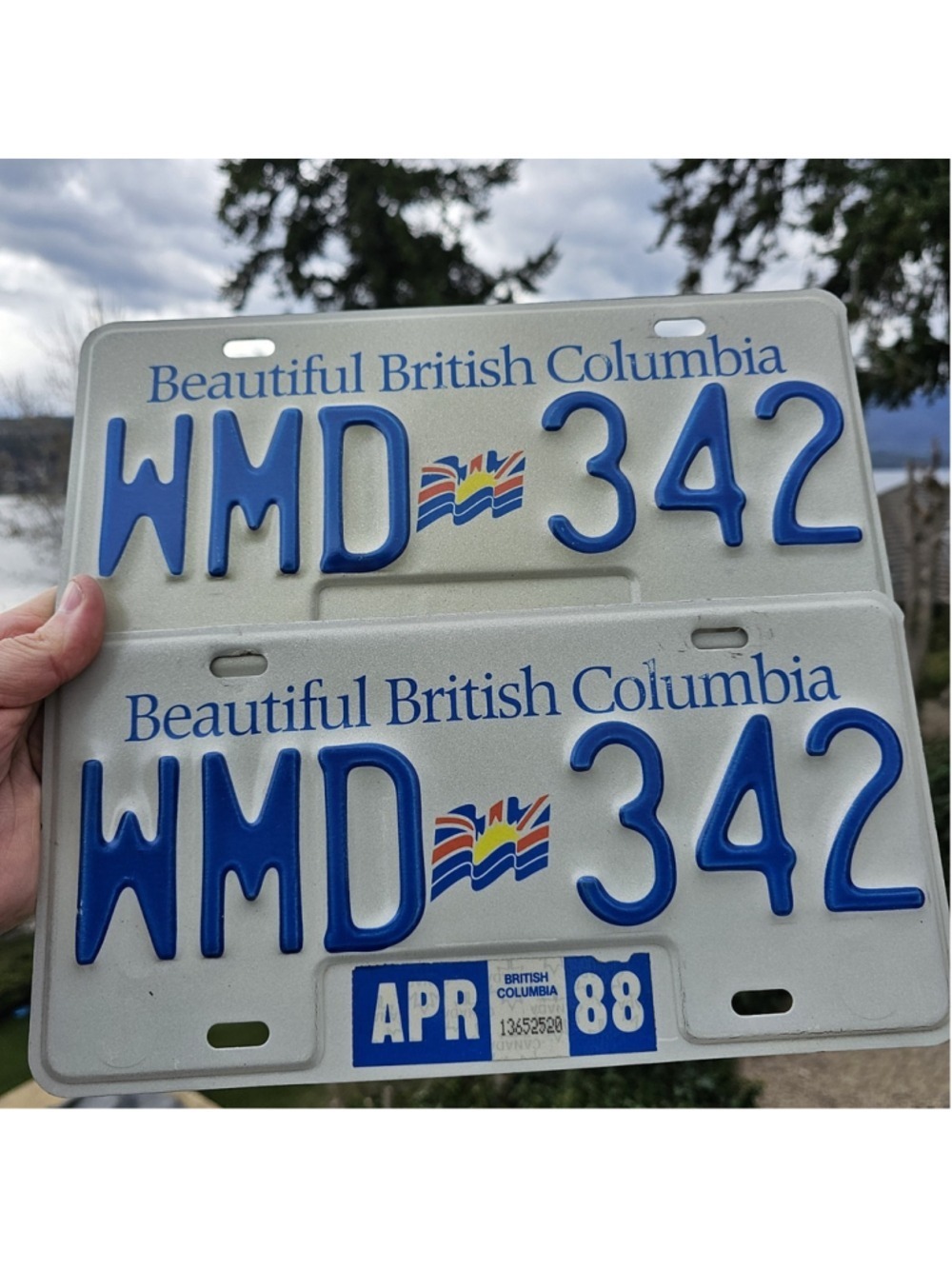 1988 Tag British Columbia License Plates Matching Pair Nice Set!